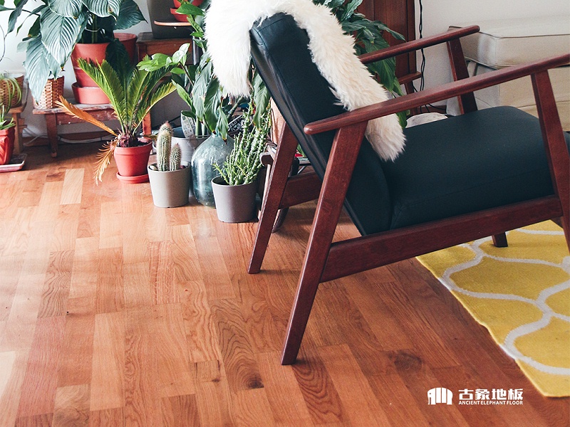 實(shí)木地板