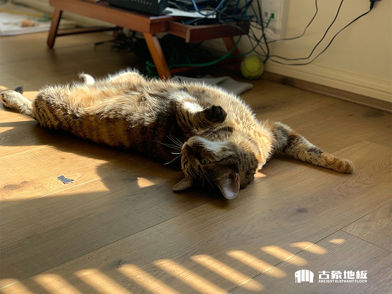 地暖地板