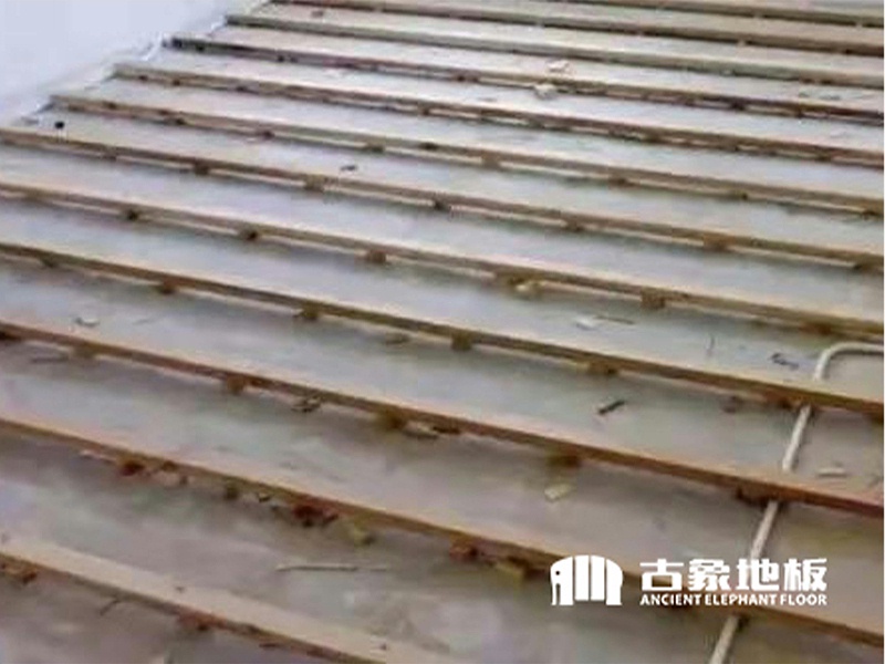 打龍骨