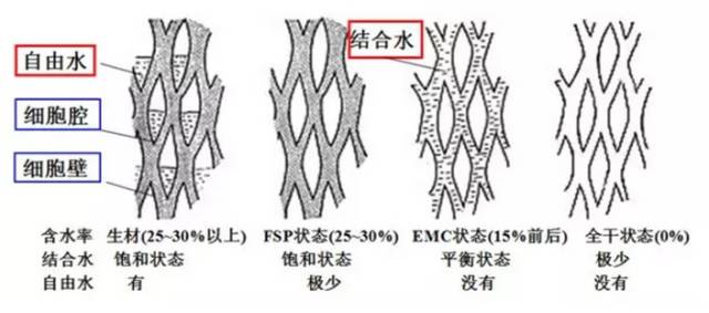 纖維飽和點(diǎn)