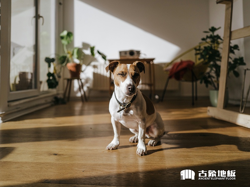 無障礙設計讓老人住的舒適